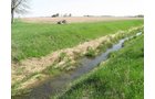 Property photo 7 - 172 Acres Offered in 3 Tracts - Prime Farmland